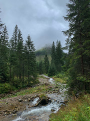 Obraz premium Trekking in the Kościeliska Valley, Tatra mountains.