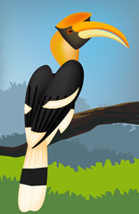 Great hornbill bird vector © dangsombroon