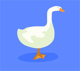 white goose bird domestic icon animal  on blue background