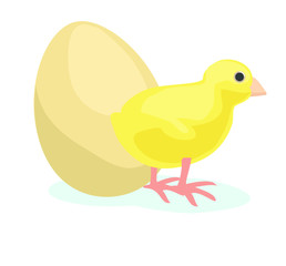 yellow little chicken egg easter rooster animal baby bird icon isolated on white background