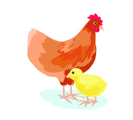 chicken with yellow chick easter rooster red colorful nature animal baby bird icon isolated on white background