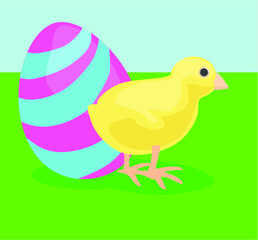 yellow little chicken chick easter egg animal baby bird icon isolated on garden background