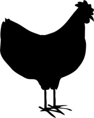 silhouette chicken easter rooster animal baby bird icon isolated on white background