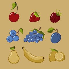 Set of common table fruits in 60's style, clean vector file for various purposes