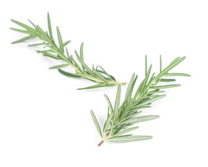 Rosemary isolated on white background.