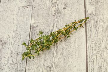 Aroma Fresh green thyme branch
