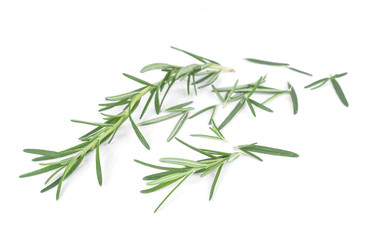 Rosemary isolated on white background.