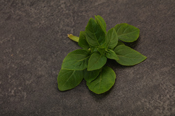 Aroma seasoning - Green Basil leaves