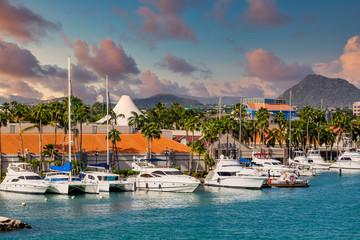 White yachts at a dock on the island of Aruba