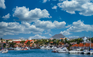 Many luxury yachts docked in a bay on Aruba - obrazy, fototapety, plakaty