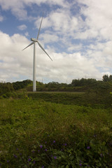 wind turbine on a green field