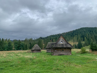 Trekking in the Kościeliska Valley, Tatra mountains.