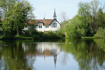 Fototapeta na wymiar House next to pond in Hampshire UK with nice green and blue colours and reflective water and goose swimming on water