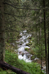 Obraz premium Trekking in the Kościeliska Valley, Tatra mountains.