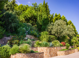 Obraz premium Paradise landscape park in Aivazovsky sanatorium in Partenit in Crimea. Evergreens, cedars and palm trees grow on steep hill. Along hill lies walking area with pedestrian walkway near coastline.