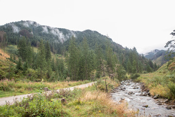Fototapeta na wymiar Trekking in the Kościeliska Valley, Tatra mountains.
