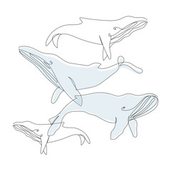 One continuous line whales. World ocean day. Save the whales. Vector line art. Perfect for print, poster, textile, wrapping paper