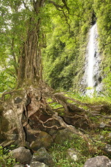 L'ile de La Réunion dans l'océan Indien, France.
