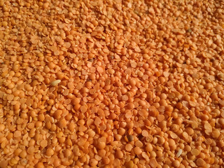 Red raw organic lentils texture. Food ingredient background. Natural