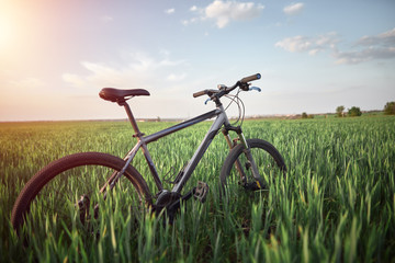 Fototapeta na wymiar mountain bike stands in the green field at summer morning. cycling and summer leisure time.