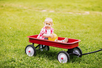 funny little girl riding riding in a red pull wagon © Alina