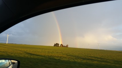 Regenbogen trifft Oase