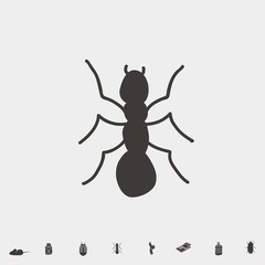 ant insect icon vector illustration and symbol for website and graphic design