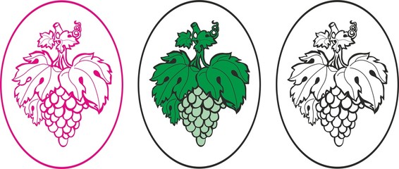  Bunch of grapes. Vector image.