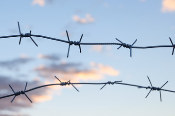 Closeup of barbed wire on blue sky with clouds background. Shallow DOF