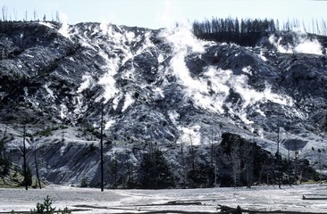 Hitze und Dampf - Vulkanisch geprägte Landschaft im Yellowstone Nationalpark, USA
