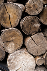 Naklejka premium wooden background with woodlog of tree