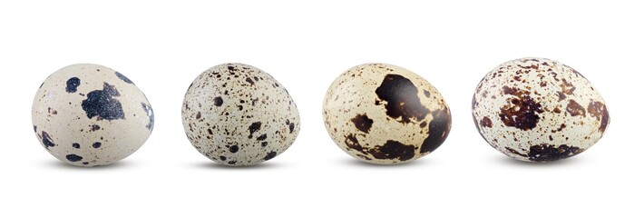 Quail Eggs Isolated. Set of Boiled or Fresh Egg on White Background Close Up