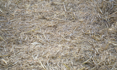 the brown straw background.