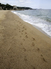 Natural paradise beach