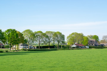 Dutch Meadow landscape in Holland