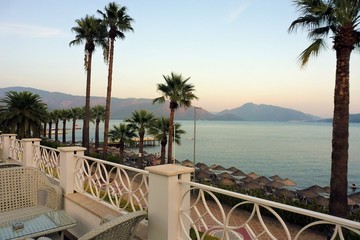 palm trees in the sea