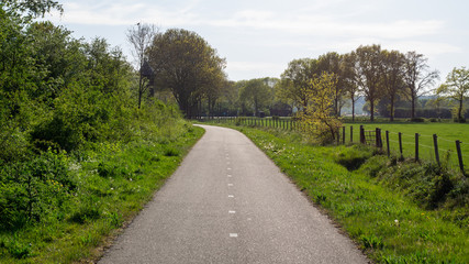 Bike path in Dutch Nature scene