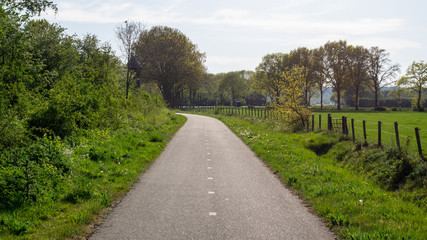 Fototapeta na wymiar Bike path in Dutch Nature scene