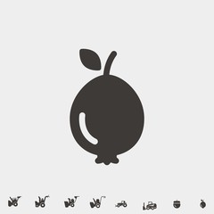 fig fruit icon vector illustration and symbol for website and graphic design