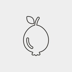 fig fruit icon vector illustration and symbol for website and graphic design