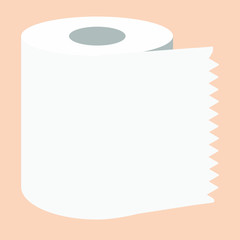 the white toilet roll paper