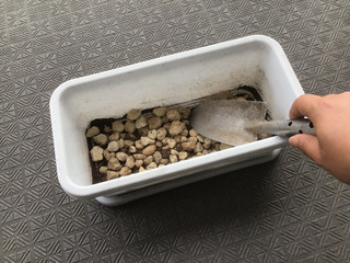 Planting of vegetable seedlings on planters