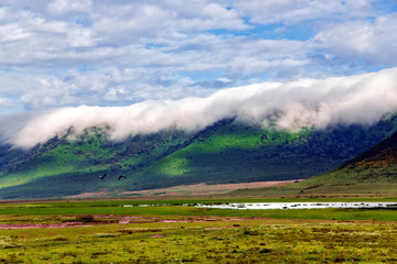 Ngorongoro valley with flowering meadows on the background of mountains with clouds in Tanzania, Africa