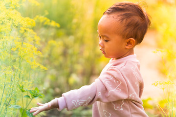 Asian toddler girl reach out her left hand to touch the plant in the garden. Sunlight shines to her back.