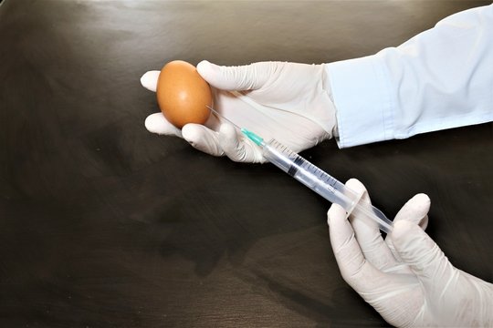 Egg-based Vaccine Manufacturing Is Used To Make Both Inactivated Vaccine Usually Called The Flu Shot,and Live Attenuated Vaccine Usually Called The Nasal Spray Flu Vaccine