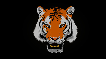 tiger head vector