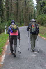 Camino de Santiago. Way of St. James. Pilgrimage to Santiago de Compostela. People with backpacks back view. Group travelers. To go forward. A heavy burden. The road in the forest. Hiking trip.