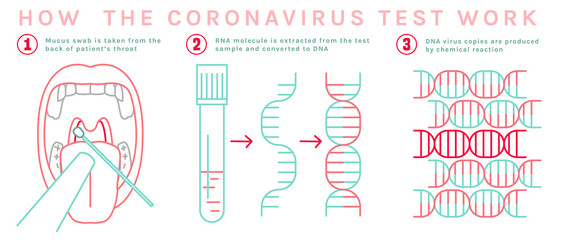 Coronavirus test infographic