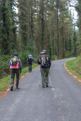 Naklejka premium Camino de Santiago. Way of St. James. Pilgrimage to Santiago de Compostela. People with backpacks back view. Group travelers. To go forward. A heavy burden. The road in the forest. Hiking trip.