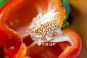 Insides of red bell pepper macro detail